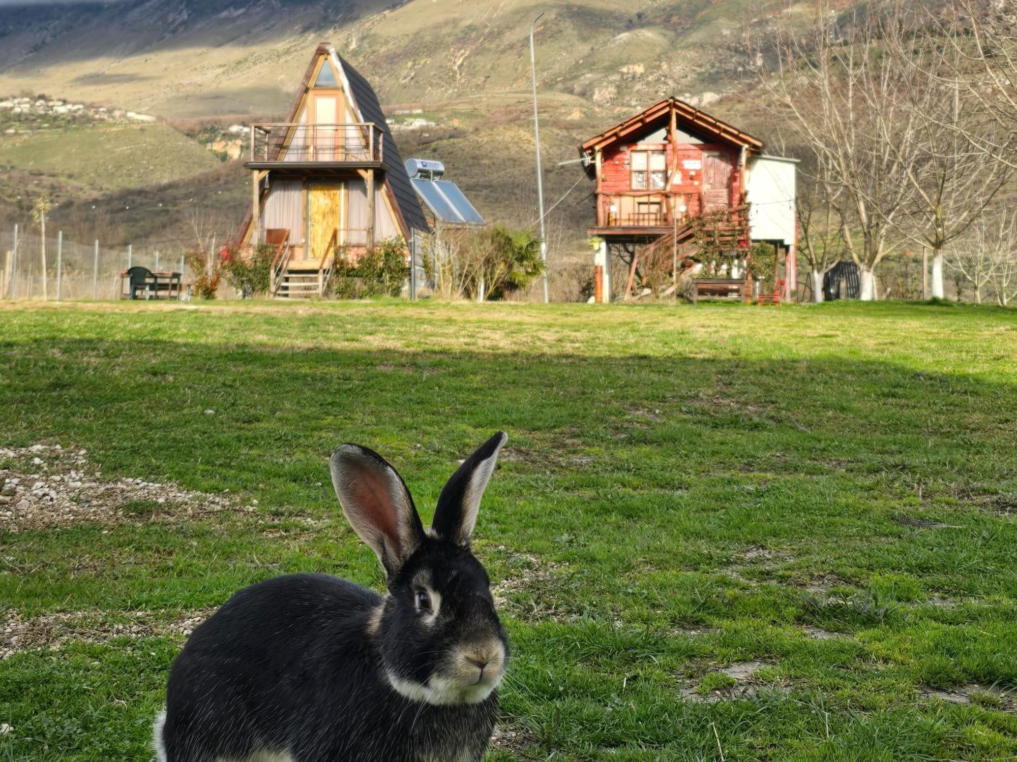 Life On The Farm Hotel Nepravishte Eksteriør billede